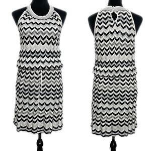 NWT - WHBM ZZ Stitch Knit Dress